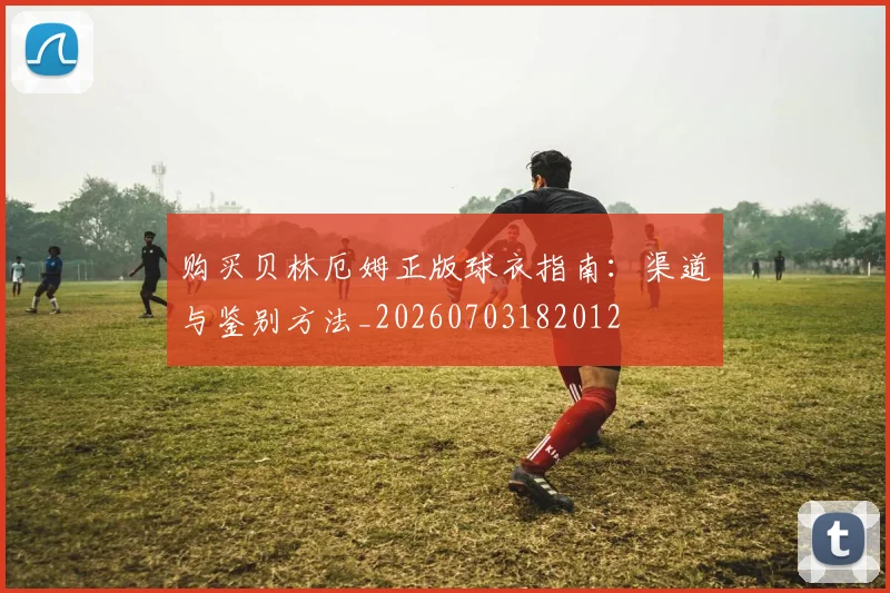 购买贝林厄姆正版球衣指南：渠道与鉴别方法_20260703182012