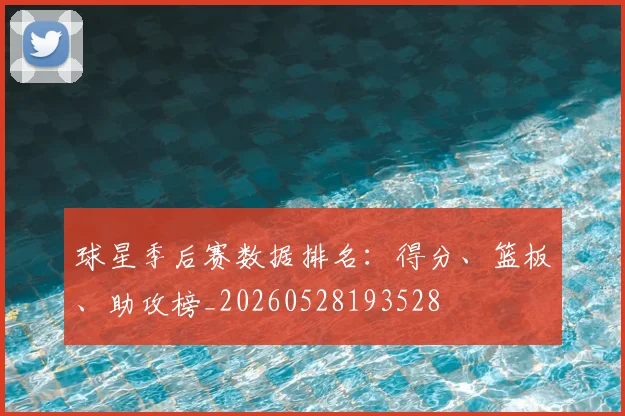 球星季后赛数据排名:得分、篮板、助攻榜_20260528193528